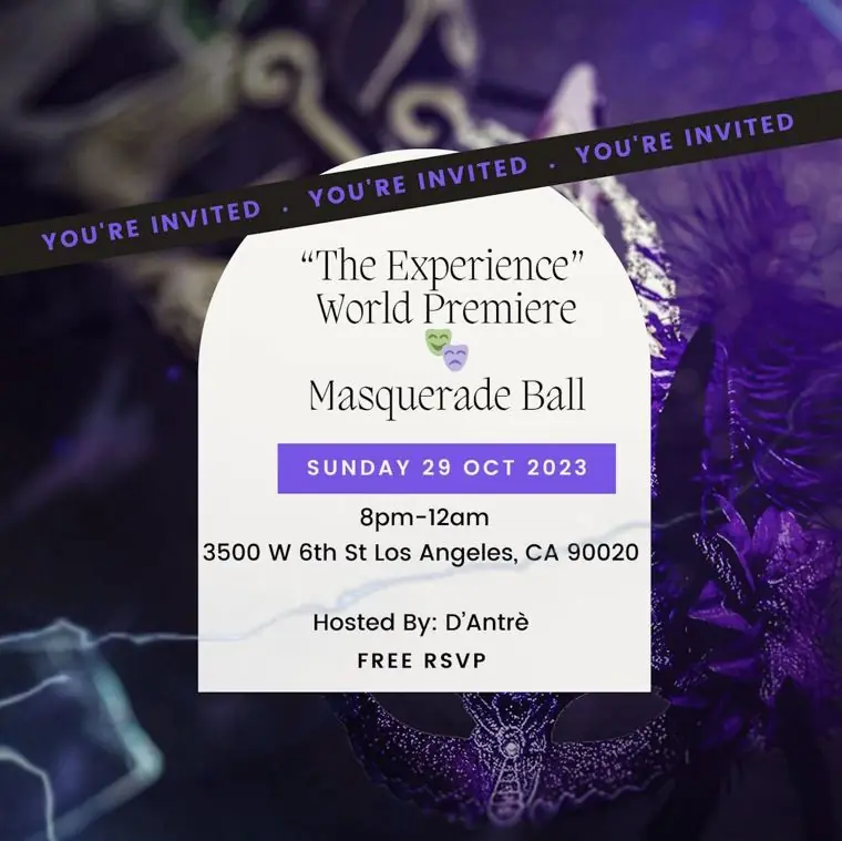 The Experience poster